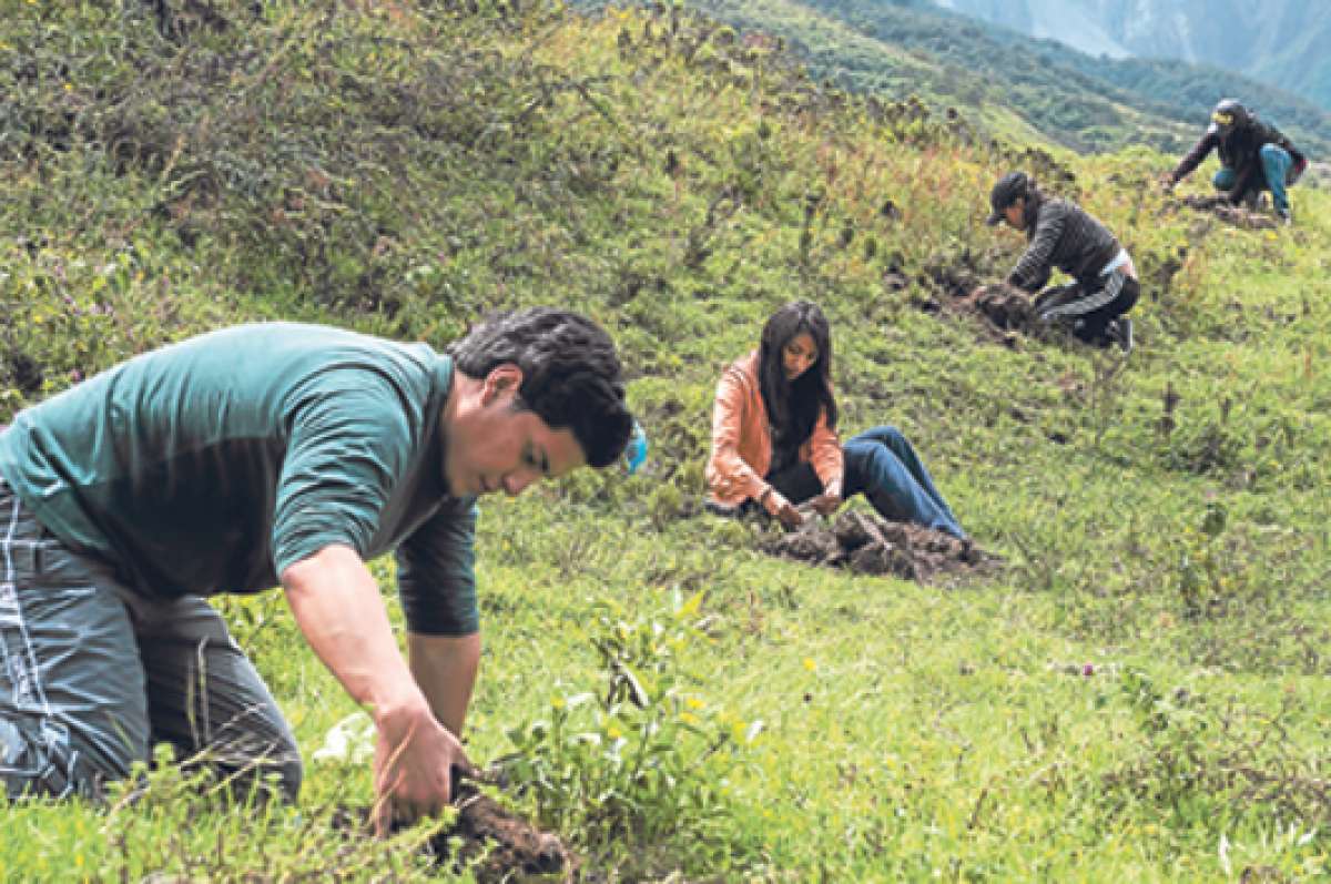 Por m&aacute;s de 2 horas, los j&oacute;venes se dedicaron a sembrar las plantas. El clima de la zona es h&uacute;medo y lluvioso en temporada de invierno, entre diciembre y junio. Fotos: Andr&eacute;s Darquea | El Tel&eacute;grafo