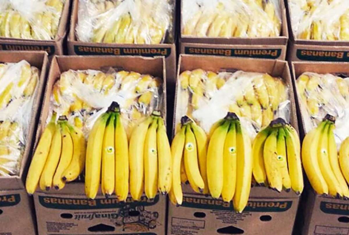 Las exportaciones de banano se han fortalecido, tras las relaciones entre China y Ecuador. 