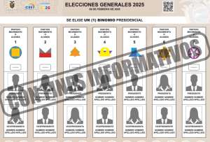 El Pleno del Consejo Nacional Electoral aprobó el diseño de las papeletas que se imprimirán para los próximos comicios de febrero de 2025.