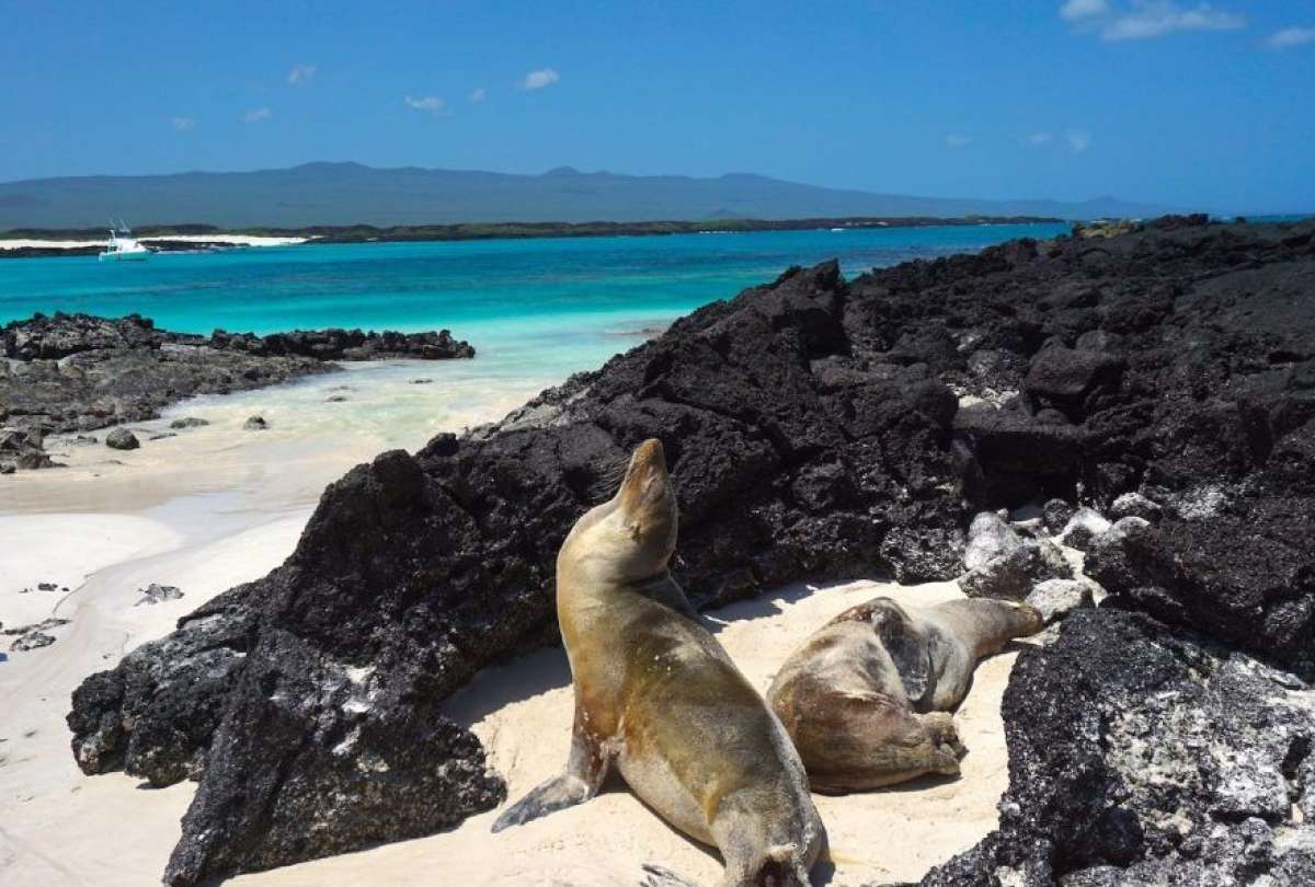 Gobierno Nacional anuncia la nueva ruta aérea Cuenca–Galápagos