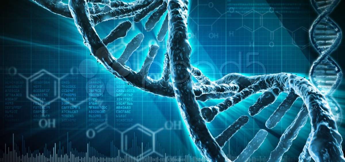 Cient&iacute;ficos abren la puerta a la manipulaci&oacute;n gen&eacute;tica del ADN humano