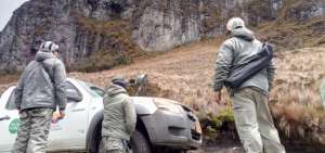 Expertos investigan carro&ntilde;a en zonas habitadas por c&oacute;ndores en Ecuador