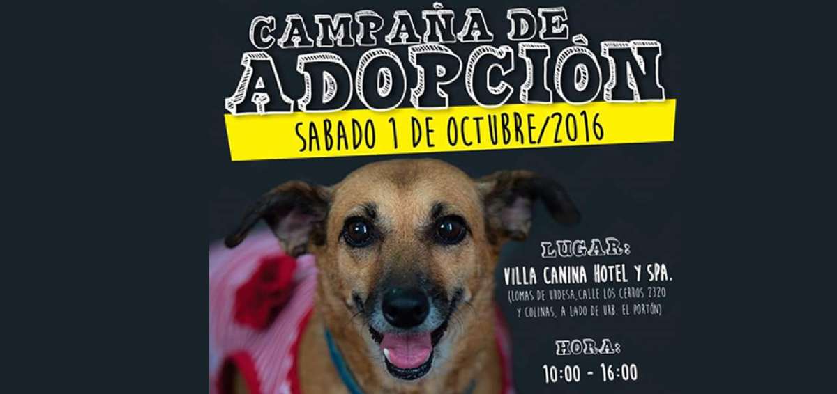Agrupaci&oacute;n realizar&aacute; en Guayaquil jornada de adopci&oacute;n de mascotas