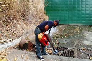 Desde 2012, a trav&eacute;s del programa Mi Familia Contra el Dengue, se utilizan biolarvicidas para el control del mosquito aedes aegypti. Foto: Cortes&iacute;a
