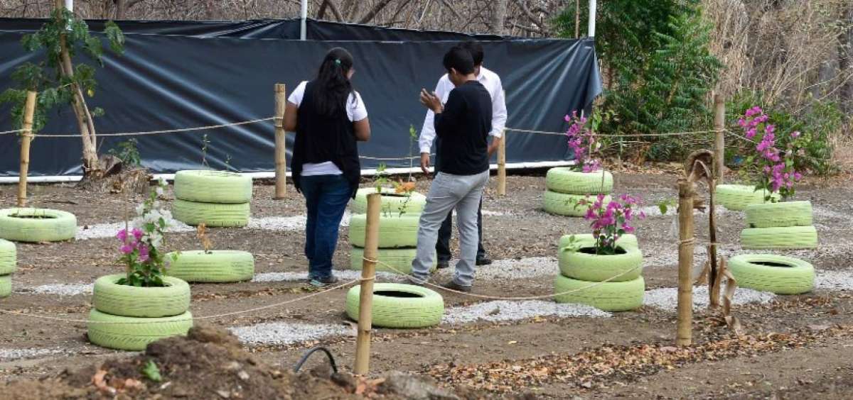 En el &aacute;rea de viveros los visitantes sembrar&aacute;n plantas aut&oacute;ctonas para reforestar el bosque y tambi&eacute;n recorrer&aacute;n los senderos. 