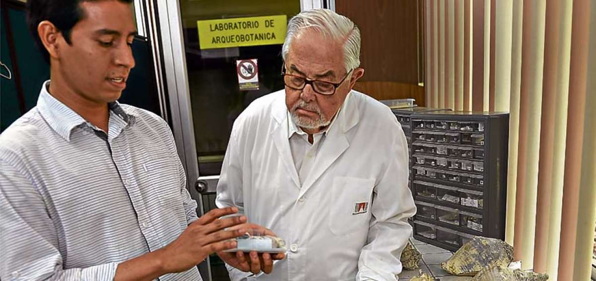 &Aacute;lvaro Mora (izq.) y Jorge Marcos (der.) estudian plantas, madera y caracoles en el laboratorio arqueobot&aacute;nico.    