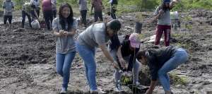 Los j&oacute;venes participaron en la siembra de los arupos donde antes hab&iacute;a un paraje abandonado en el centro sur de la capital.