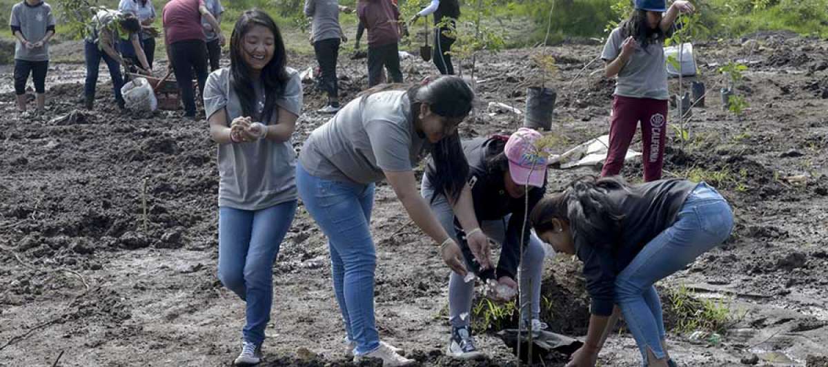Los j&oacute;venes participaron en la siembra de los arupos donde antes hab&iacute;a un paraje abandonado en el centro sur de la capital.