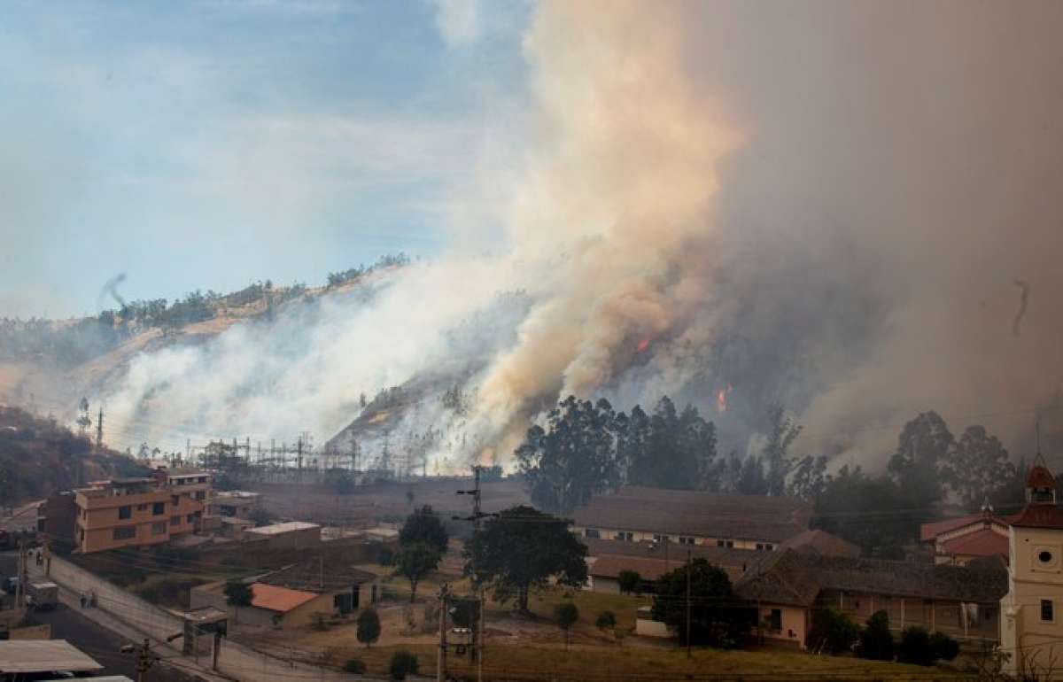 Incendios forestales quemaron 3.102 hect&aacute;reas en Quito