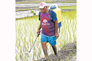 Las personas de m&aacute;s edad sostienen la peque&ntilde;a agricultura en Ecuador