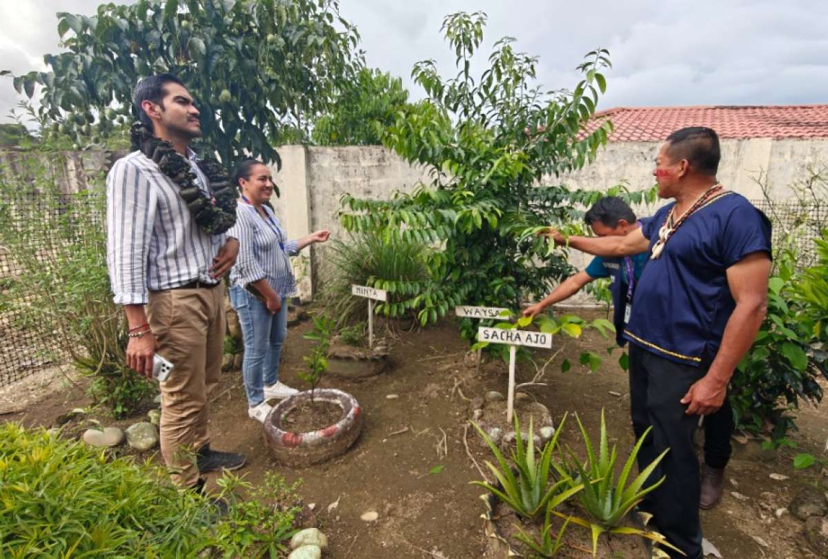 Los huertos se implementan en Tena, Archidona y El Chaco.