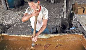 Foto: Fernando Fonseca/El Tel&eacute;grafo