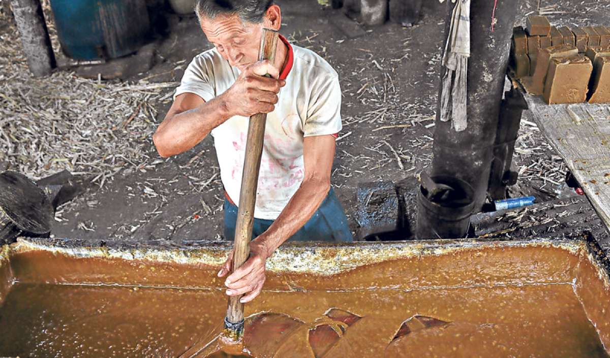 Foto: Fernando Fonseca/El Tel&eacute;grafo