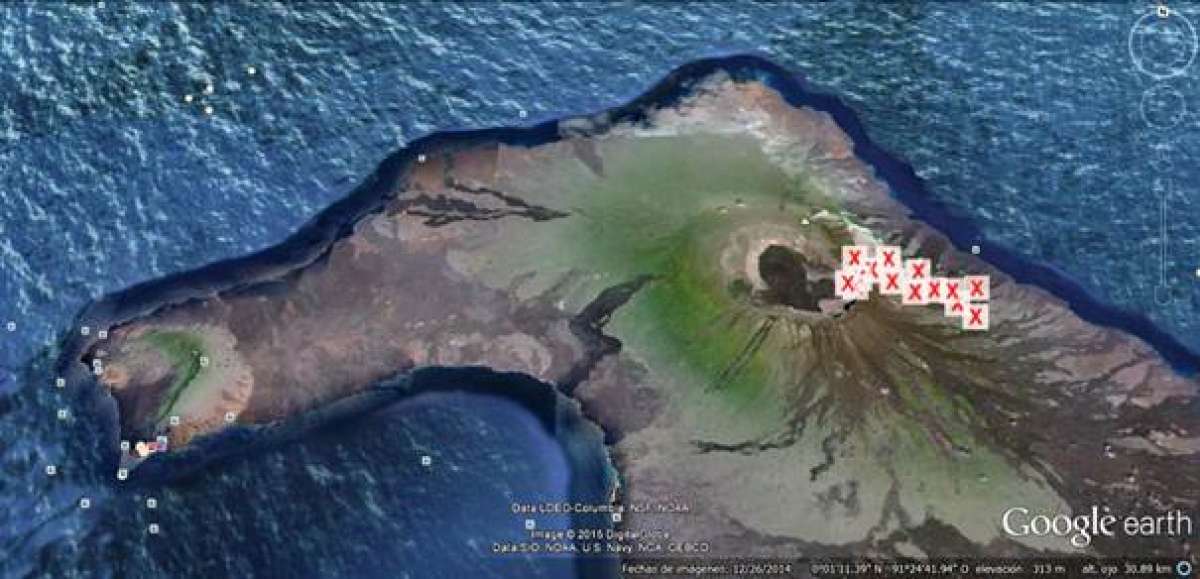 El volc&aacute;n Wolf, en la isla Isabela, es santuario de las &uacute;nicas iguanas terrestres rosadas detectadas en el planeta. 
