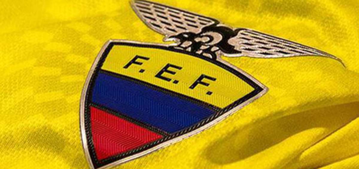 La FEF dise&ntilde;ar&aacute; proyecto para la implementaci&oacute;n del VAR