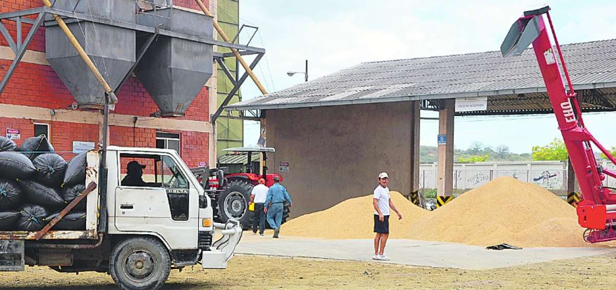 La Unidad de Almacenamiento habilit&oacute; los silos bolsa o m&oacute;viles, para incrementar la capacidad de almacenamiento de la gram&iacute;nea.