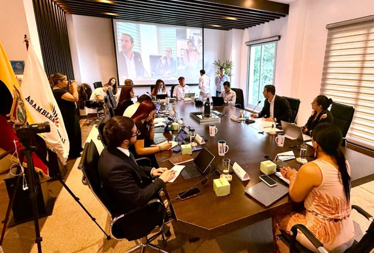 Ministro Luque: hallan 3.000 licencias profesionales emitidas en 2025 &ldquo;sin sustento&rdquo;