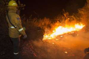 Para sofocar las llamas en el cerro Ilal&oacute; se emple&oacute; un contingente de 186 bomberos. Foto: Daniel Molineros / EL TEL&Eacute;GRAFO