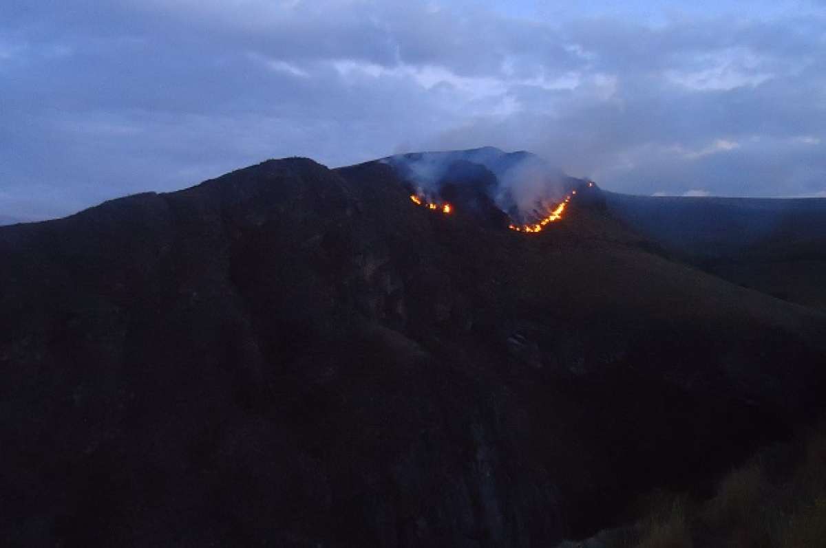 Alrededor de 30 hect&aacute;reas de zona protegida se perdieron en incendio forestal