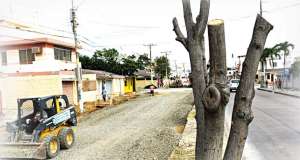 El Municipio de Guayaquil cort&oacute; &aacute;rboles en la Atarazana por obras en aceras y alcantarillado