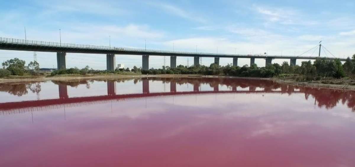 El agua de un lago australiano se ti&ntilde;e de rosa