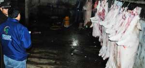 La insalubridad en el manejo de los animales despostados en el camal de Machala gener&oacute; la clausura.