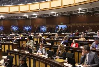 La votación por bases extranjeras en Ecuador: ¿reconfiguración del mapa político al interior de la Asamblea?