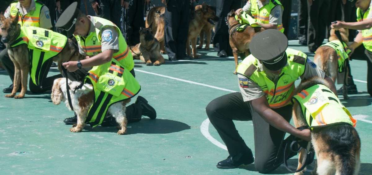 Los gu&iacute;as retiraron a sus compa&ntilde;eros perrunos los chalecos que portaban cuando desarrollaban sus labores de control en las filas policiales. 