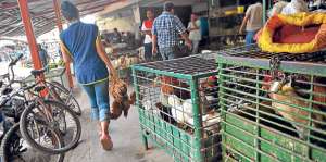 Los vendedores de aves en pie no podr&aacute;n trabajar en el Mercado N&deg; 1 a partir de ma&ntilde;ana. Foto: Rodolfo P&aacute;rraga / El Tel&eacute;grafo