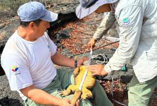 Nuevas medidas serán adoptadas para el ingreso a las Islas Galápagos