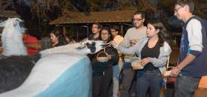 En el Zool&oacute;gico de Quito, en Guayllabamba, se realizan actividades que incluyen que los visitantes alimenten a los animales de granja.      