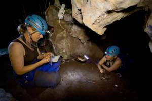 Para poder penetrar en la c&aacute;mara de los f&oacute;siles se requiri&oacute; de paleont&oacute;logas y arque&oacute;logas de bajo peso y talla corta. Foto: cortes&iacute;a livescience
