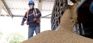 En la planta de silos de la UNA, en Daule, la atenci&oacute;n a los productores se extiende hasta las 00:00.