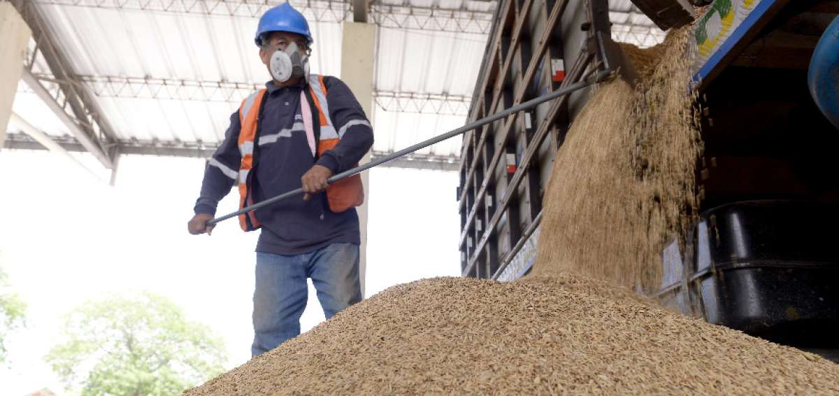 En la planta de silos de la UNA, en Daule, la atenci&oacute;n a los productores se extiende hasta las 00:00.