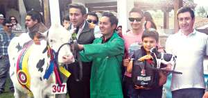 Un juez internacional este a&ntilde;o elegir&aacute; los mejores ejemplares de ganado vacuno y caballar.