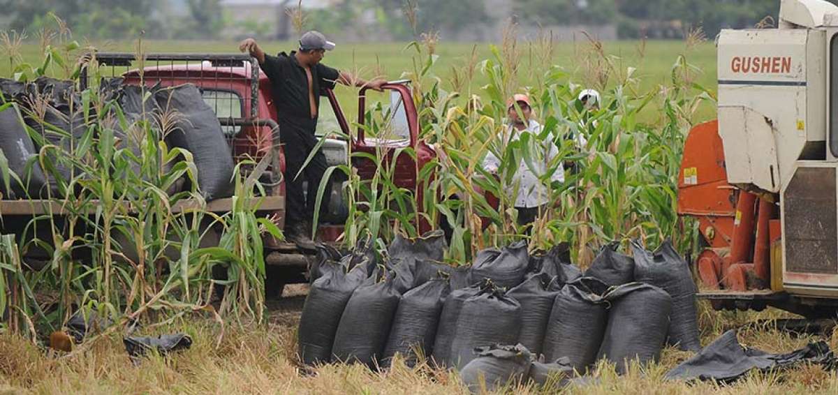 El proyecto de ley favorecer&aacute; a los peque&ntilde;os productores, quienes hoy tienen problemas econ&oacute;micos.