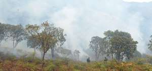El humo y las llamas se han tomado una buena parte de Molleturo. Hasta ayer eran incontrolables las llamas.