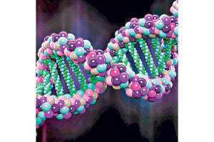El an&aacute;lisis del genoma se convertir&aacute; en la &lsquo;medicina especializada del futuro&rsquo;