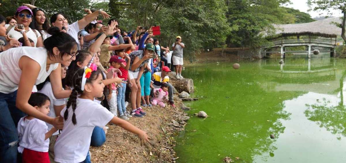 Ciudadan&iacute;a limpia un lago con bolas de barro