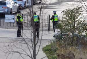 Dos jóvenes británicos causan uno de los ataques más graves del país en un tren a Londres