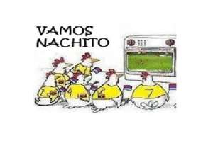 Este es parte del meme hecho por Pablo Padilla, hincha de El Nacional, y que fue publicado por las redes sociales del equipo capitalino. Foto: Tomada de Twitter @pablpadi