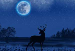 La Luna de Ciervo es un espectáculo natural único