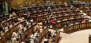 En septiembre, Alianza PAIS e independientes presentaron el pedido para cambiar el Consejo de Participaci&oacute;n.