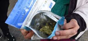 Desde el 19 de julio pasado las farmacias del pa&iacute;s venden marihuana de uso recreativo a consumidores registrados.