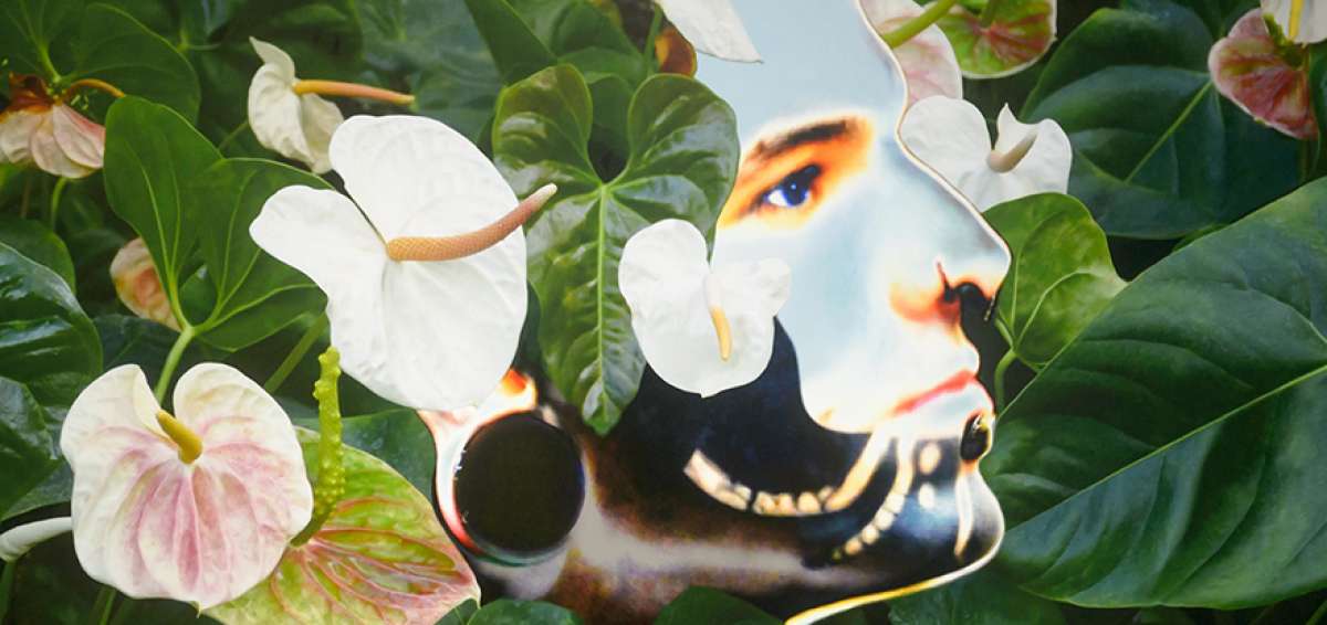 La rosa meditativa de Olga Regnier