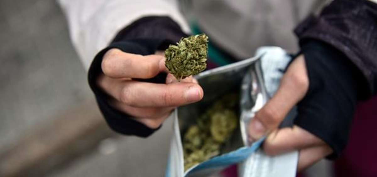 Las inscripciones para comprar marihuana crecen en Uruguay