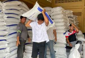 760 productores de varios cantones de Guayas recibieron fertilizantes para sus cultivos.