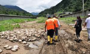 Las autoridades inspeccionan una hacienda donde yacen muertos cientos de pollos tras las inundaciones. 