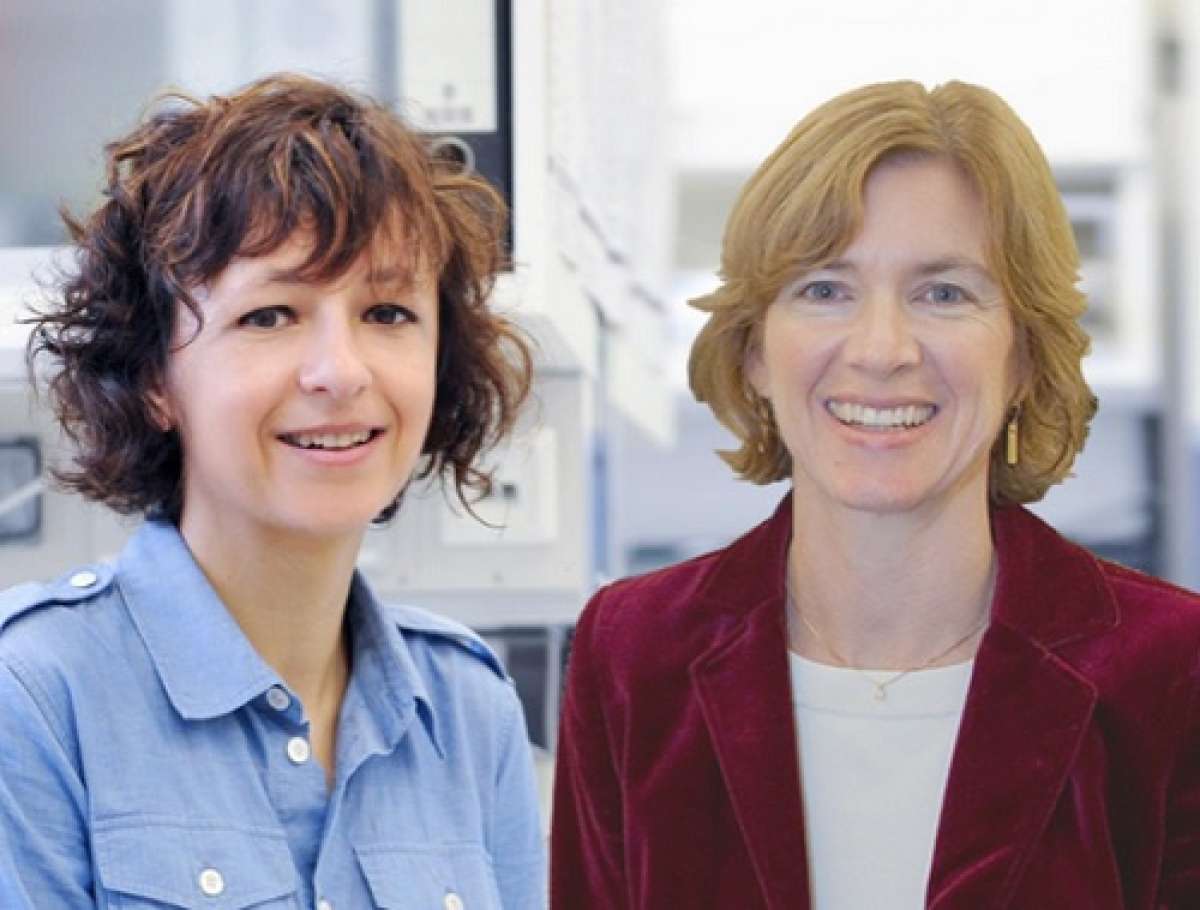 Emmanuelle Charpentier y Jennifer Doudna se hicieron acreedoras del galard&oacute;n. Foto: www.fpa.es