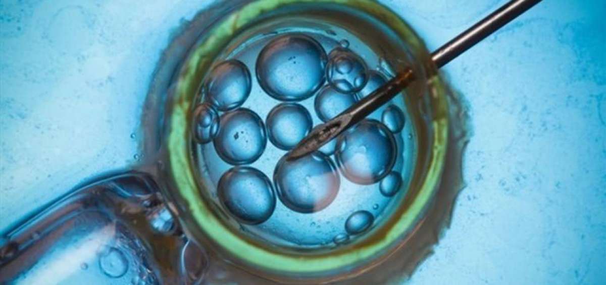 Investigadores corrigen genes  en embriones humanos